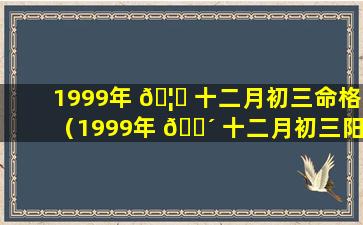 1999年 🦋 十二月初三命格（1999年 🐴 十二月初三阳历是多少）